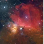 Vespera 2 - Horsehead nebula with live mosaic mode (CovalENS).jpg