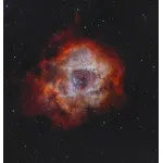 Rosette nebula Vespera 2.webp