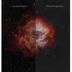 live observation - astrophotography comparison - Rosette Nebula.jpg