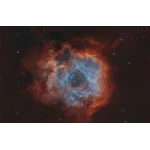 Rosette Vespera 3.webp
